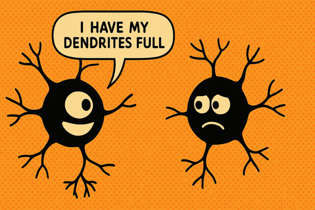 What Happens in the Brain When You Get a Joke