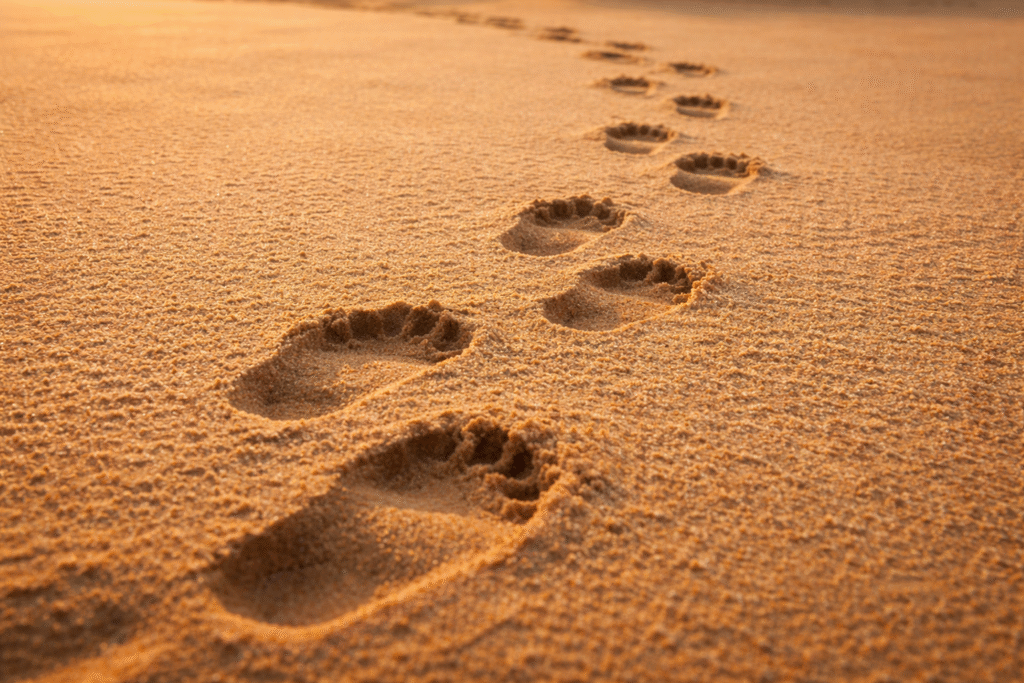 Why Humans Walk in Circles When Lost