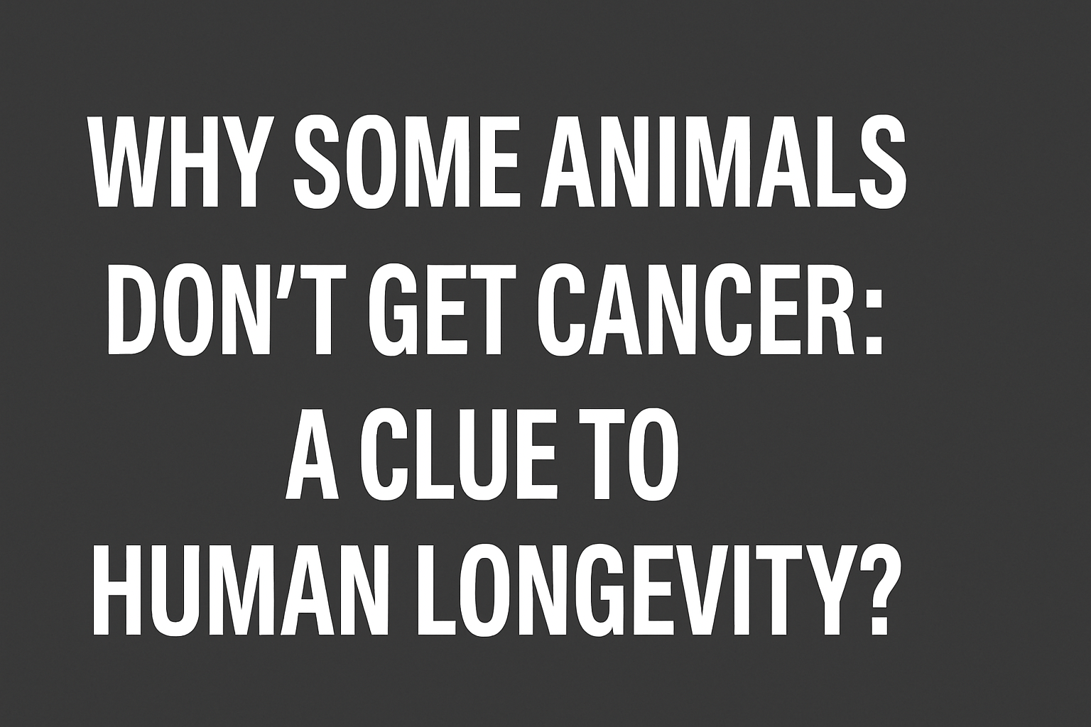 Why Some Animals Don’t Get Cancer