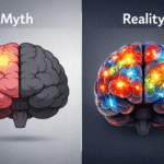 The 10% Brain Myth You’re Using Far MoreThan You Think