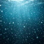 The Invisible Snowfall Feeding the Deep Ocean