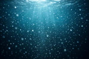 The Invisible Snowfall Feeding the Deep Ocean