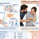 The Strange Science of Why We Can't Tickle Ourselves