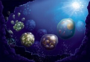 Why Your Mitochondria Have Their Own DNA